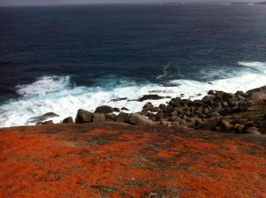Kangaroo Island - Remarcable Rocks